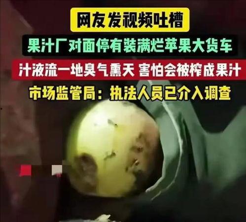 香港最新大瓜爆料视频,最新大瓜视频揭秘惊人内幕